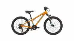 Cannondale Kids Trail 20"