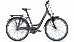 Raleigh Schoolmax Wave