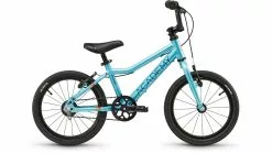 Academy 16 Grade 3 Belt