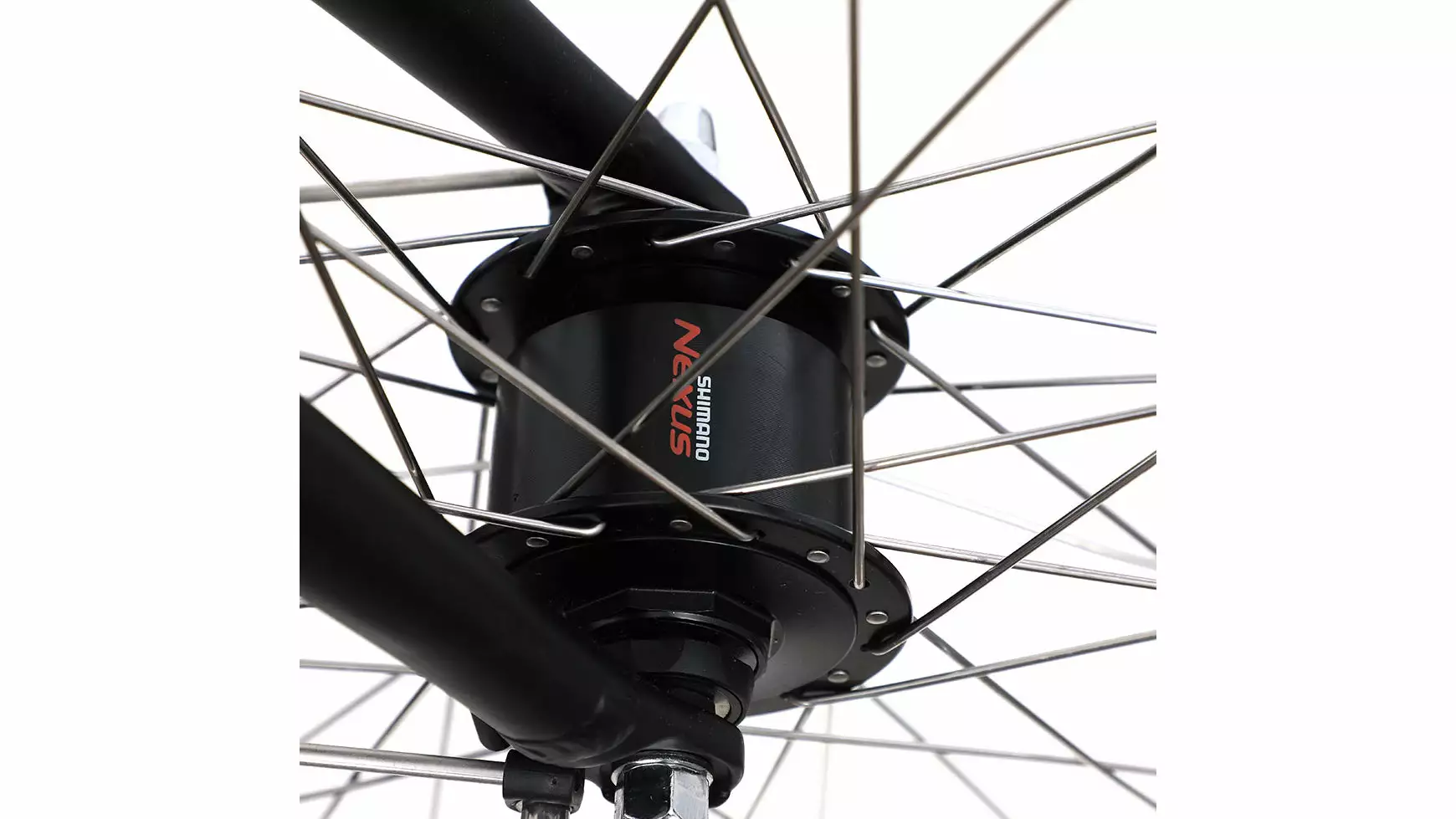 Bicycles Salerno - Image 3