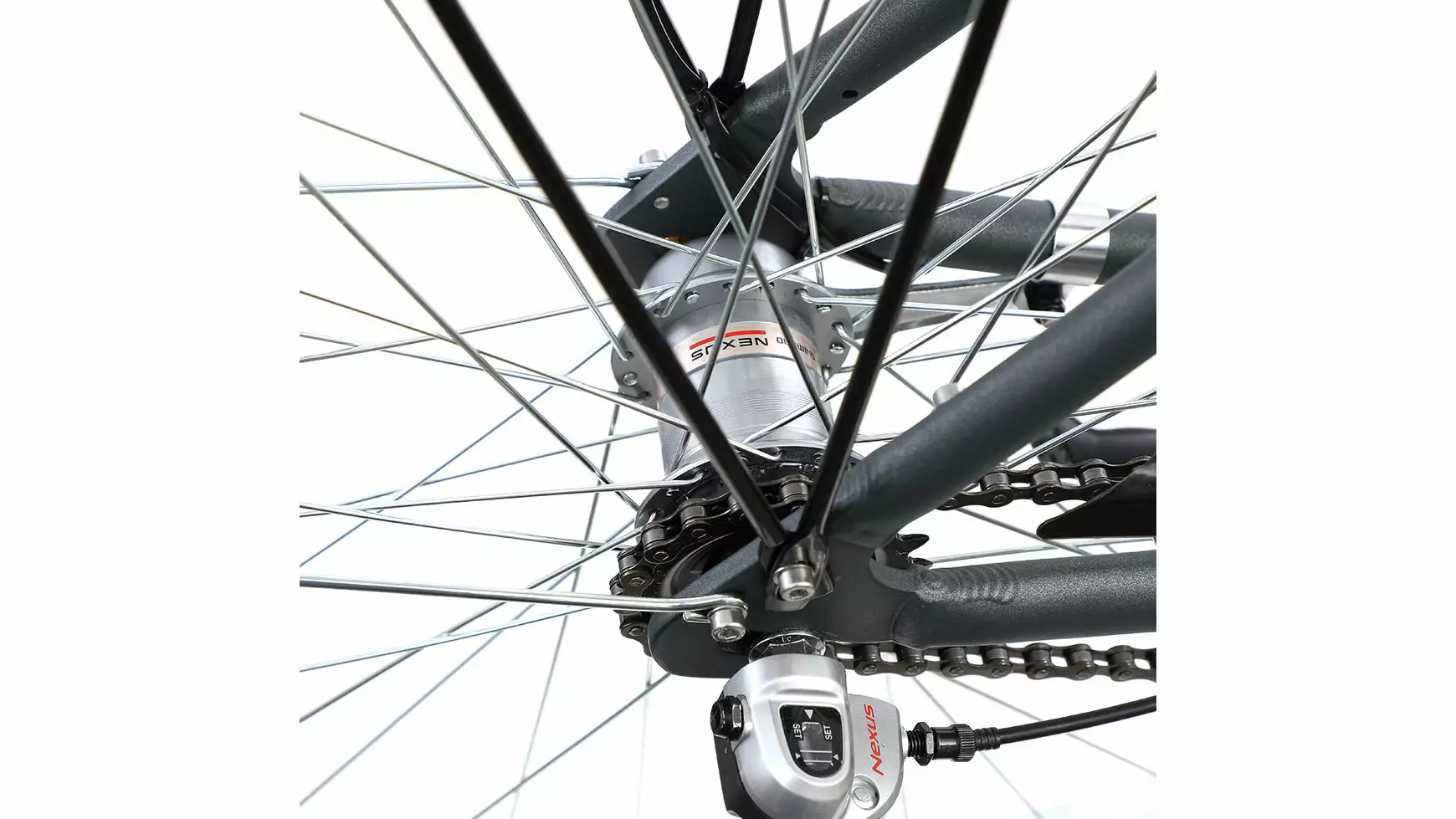 Bocas Tampa – Bild 2