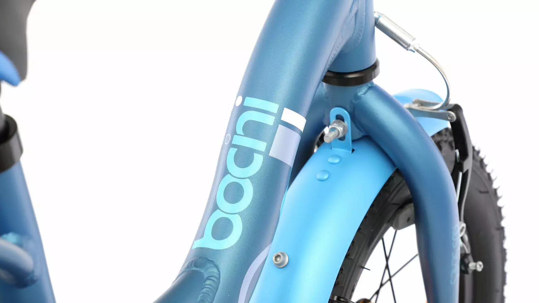 Bocini Leon 12 - Image 2