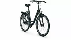 Raleigh Chester 8 XXL Wave